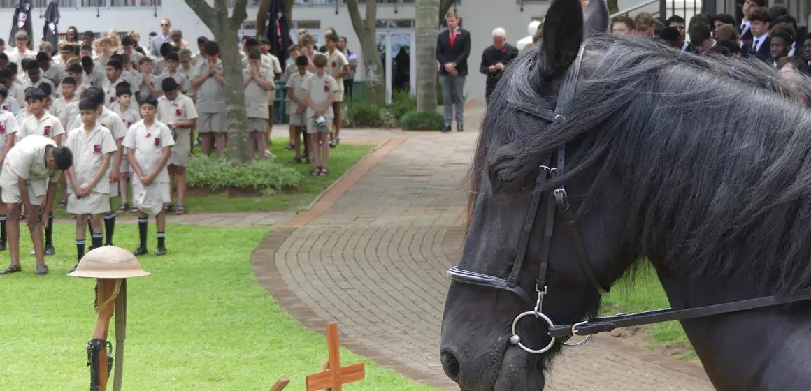Clifton Remembrance Day honours the fallen, including animals