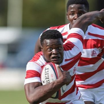 rugby-michaelhouse Michaelhouse chasing 100th win against Hilton