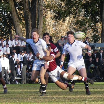 Wednesday Weekend Wind-back rugby highlights, 10 June 2023