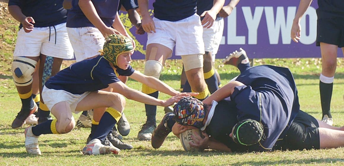rugby-clifton-davids-010724 Clifton, St Charles shine at u14 Independent Schools Rugby Fest