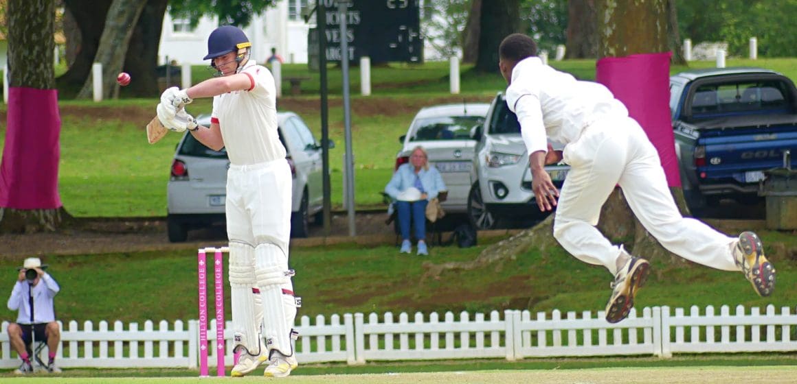 cricket-hilton-michaelhouse-denenga-091124 (1) Hilton vs Michaelhouse report, results, YT highlights, 9 Nov