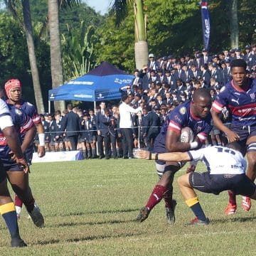 All the Sharks teams, Westville dominates Craven Week lineup