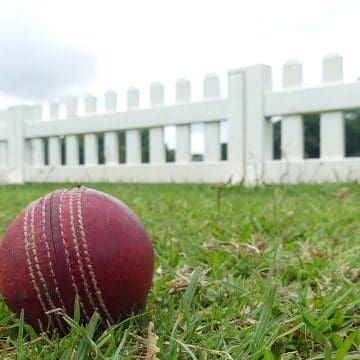 cricket-ball-fence-210925 Michaelmas boosted to 26 teams; What of KZN sides’ chances?