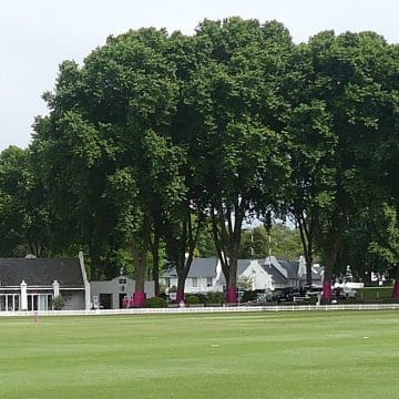cricket-hilton-michaelhouse-230925 Michaelhouse wins at Hilton