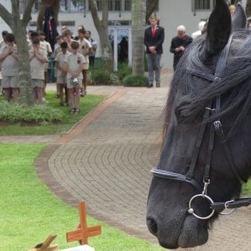 clifton-remembrance-day-141125 Clifton Remembrance Day honours the fallen, including animals